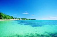 yacht charters bahamas