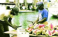 crewed yacht charters Bahamas