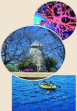 Grenadines yacht charters